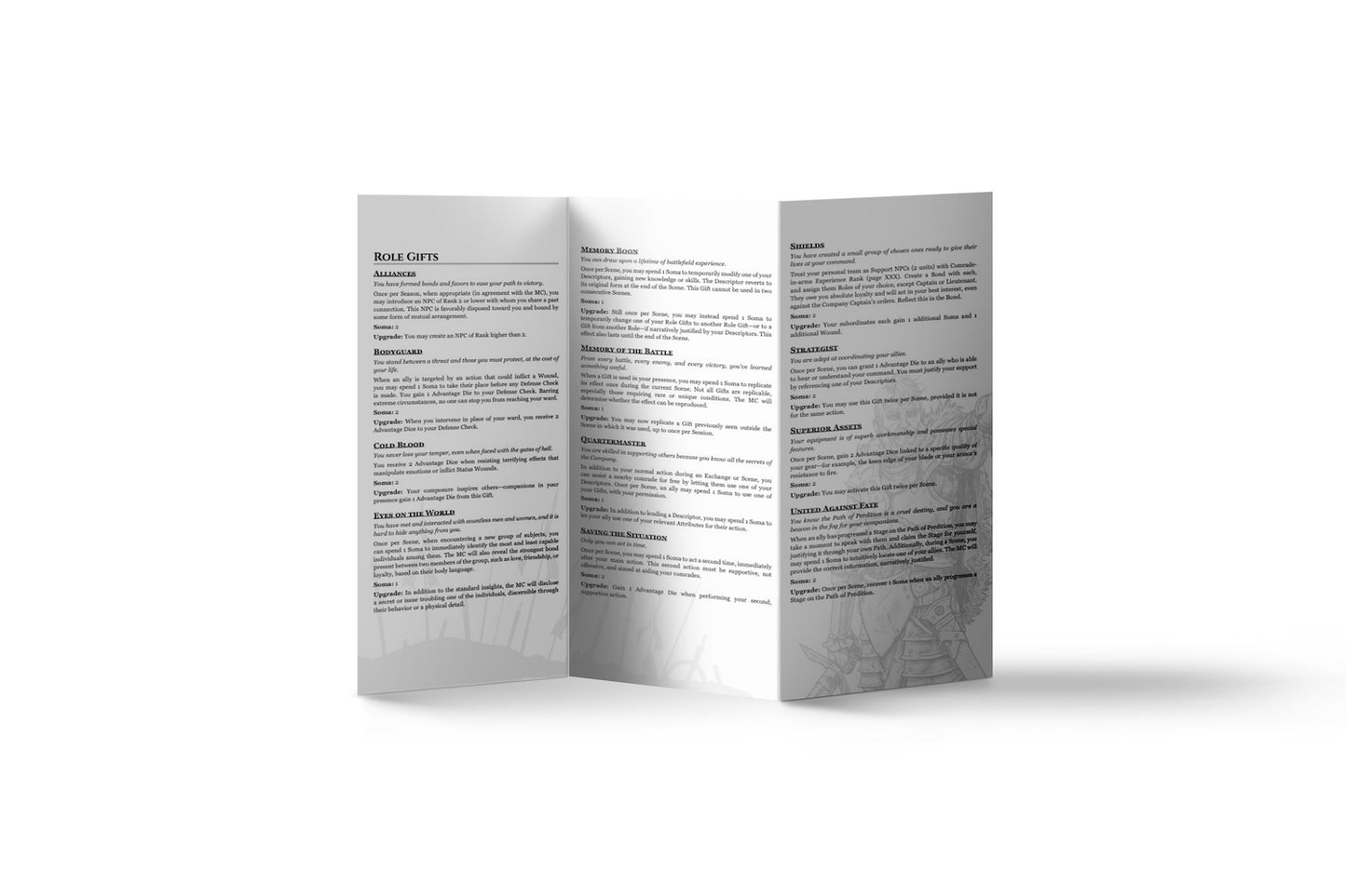 PREORDER Valraven: Role Playbooks 🇬🇧 🇺🇸